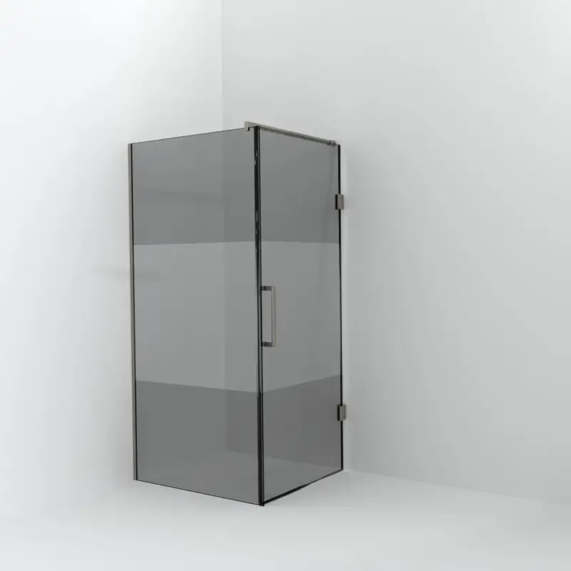 Preiswert Balmani Modular Walk-In Dusche mit Tür: 100 x 200 cm mit Tür 90 cm, Rauchglas mit mattiertem Streifen, Profil Brushed CoolMetal