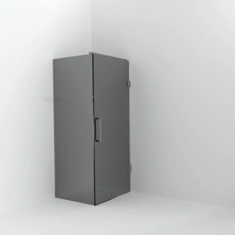 Balmani Modular Walk-In Dusche mit Tür: 80 x 200 cm mit Tür 90 cm, Reflex-Spiegelglas, Profil Brushed CoolMetal Zertifiziert