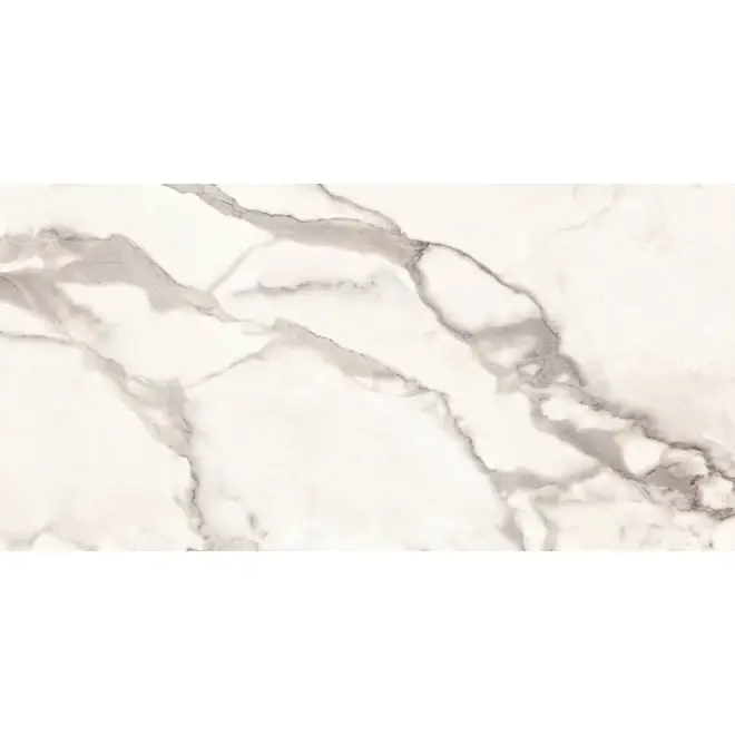 Aktuell Provenza Unique Marble Boden- und Wandfliese Calacatta Regale matt SilkTech 60x120 cm