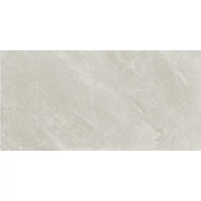Provenza Saltstone Boden- und Wandfliese Grey Ash glänzend 60x120 cm Heißes Angebot