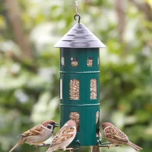 Nur Heute Vogelfutterspender von Wildlife Garden