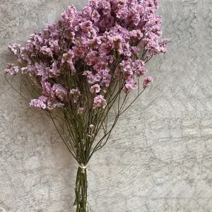 Aktuell Trockenblumen Strauß