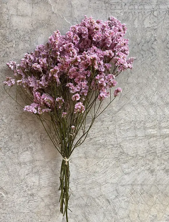 Aktuell Trockenblumen Strauß