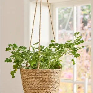 Hängekorb aus Seegras Ø23cm von Ib Laursen Bestpreis