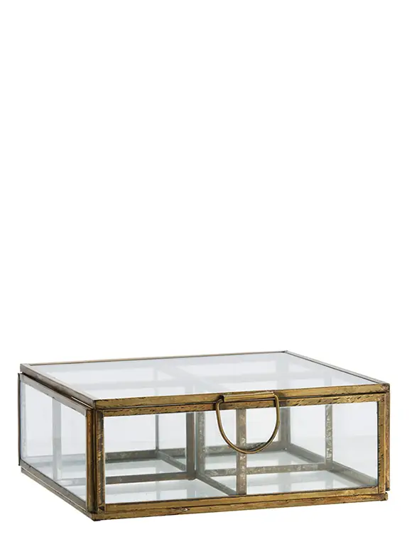 Unterteilte Glasbox von Madam Stoltz Ausverkauf