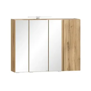 Spiegelschrank Gent grau B/H/T 85x64x20 cm Bestpreis