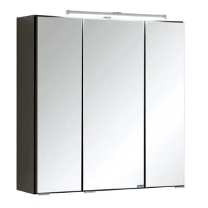 Sonderangebot Spiegelschrank Paris 60x64x20 cm Graphit/Spiegel